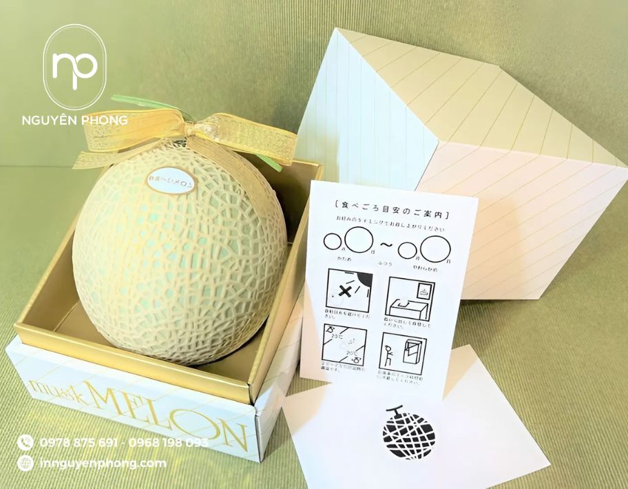 mau-hop-giay-dung-dua-luoi-can-mang-metalize